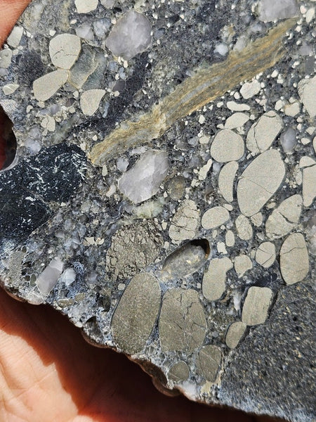 Polished Beaton's Creek auriferous conglomerate slab BC114