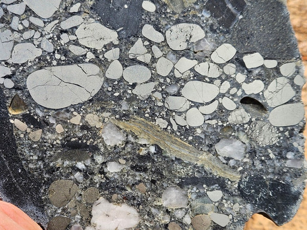 Polished Beaton's Creek auriferous conglomerate slab BC114