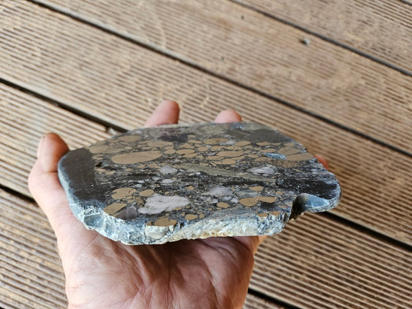 Polished Beaton's Creek auriferous conglomerate slab BC114
