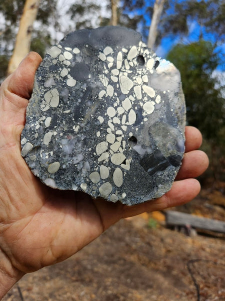 Polished Beaton's Creek auriferous conglomerate slab BC115