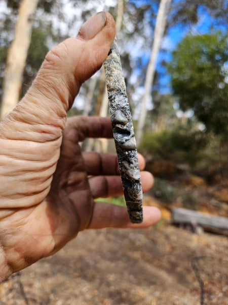 Polished Beaton's Creek auriferous conglomerate slab BC115