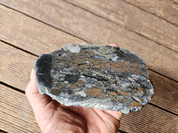 Polished Beaton's Creek auriferous conglomerate slab BC115