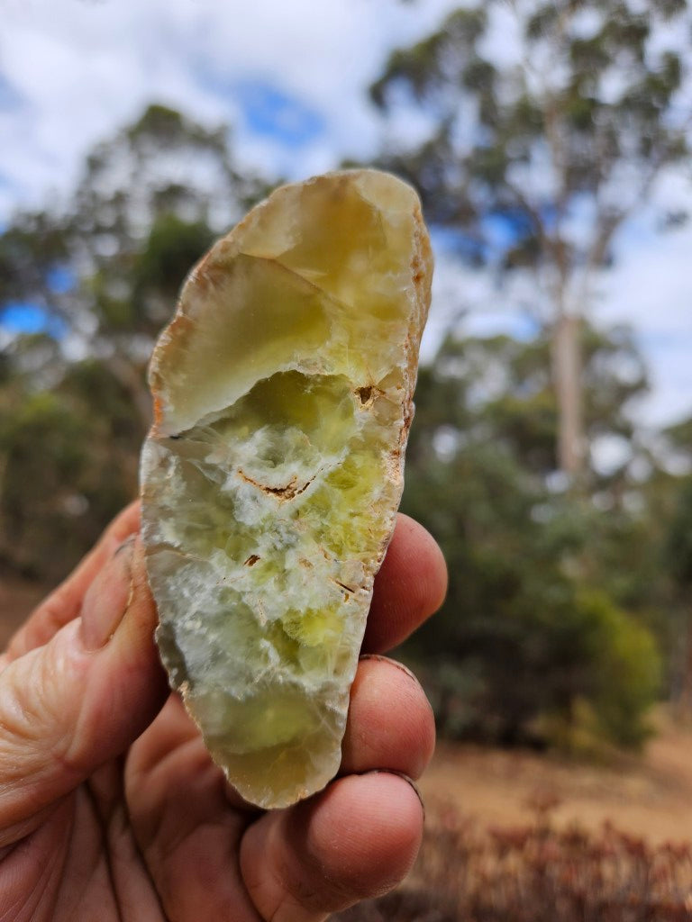 Polished Prehnite PR137