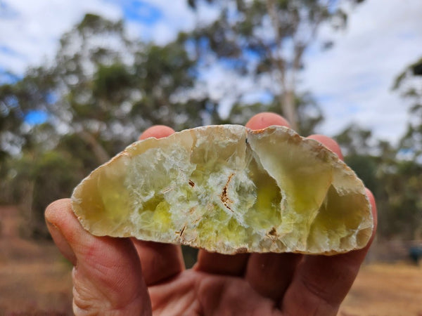 Polished Prehnite PR137