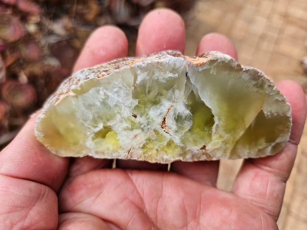 Polished Prehnite PR137
