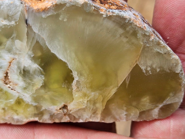 Polished Prehnite PR137