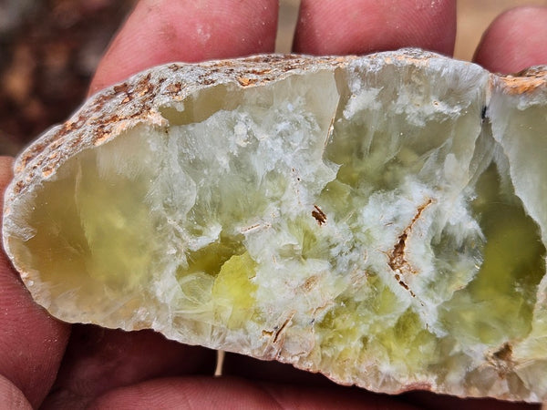 Polished Prehnite PR137