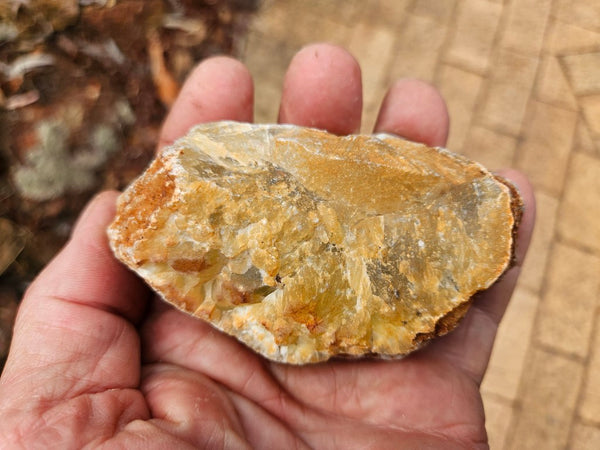 Polished Prehnite PR138