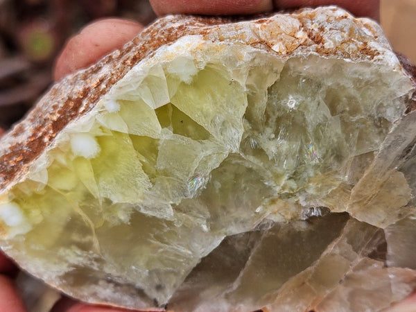 Polished Prehnite PR138