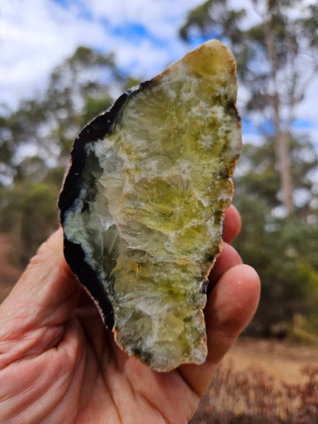 Polished Prehnite PR139