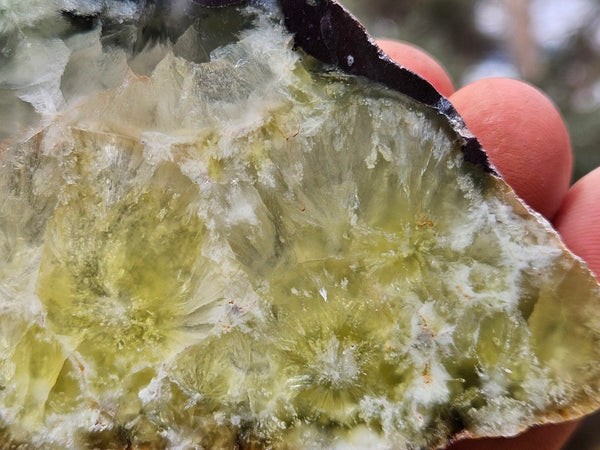 Polished Prehnite PR139