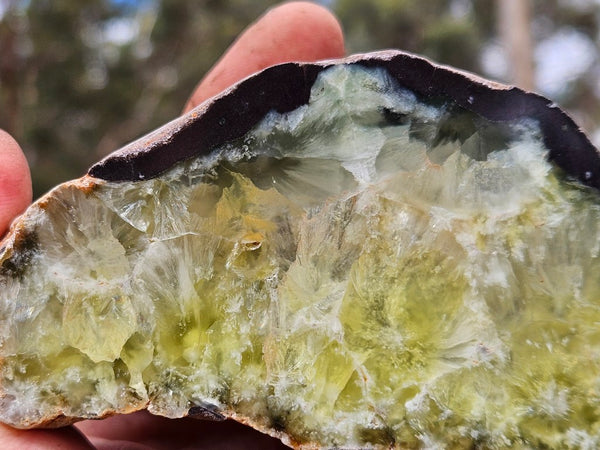 Polished Prehnite PR139