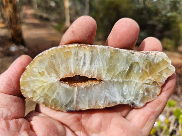 Polished Prehnite slab PR136