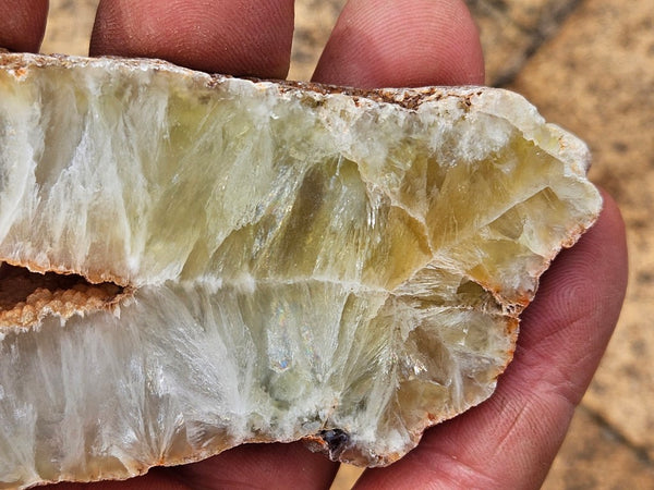 Polished Prehnite slab PR136