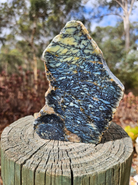 Polished Dendritic Opal DO237