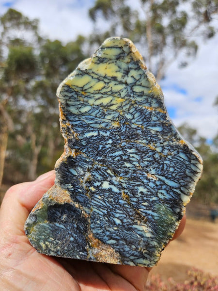Polished Dendritic Opal DO237
