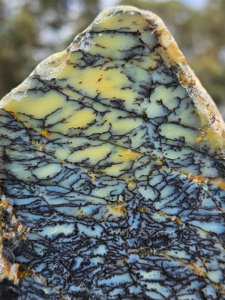 Polished Dendritic Opal DO237