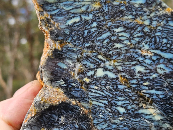 Polished Dendritic Opal DO237