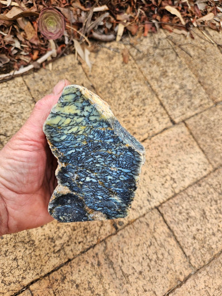 Polished Dendritic Opal DO237