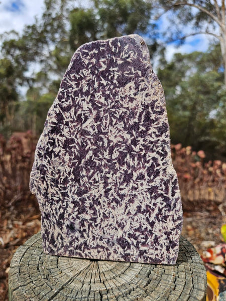 Polished Lepidolite  LEP235