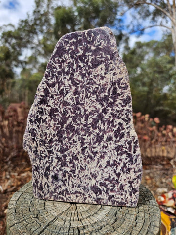 Polished Lepidolite  LEP235
