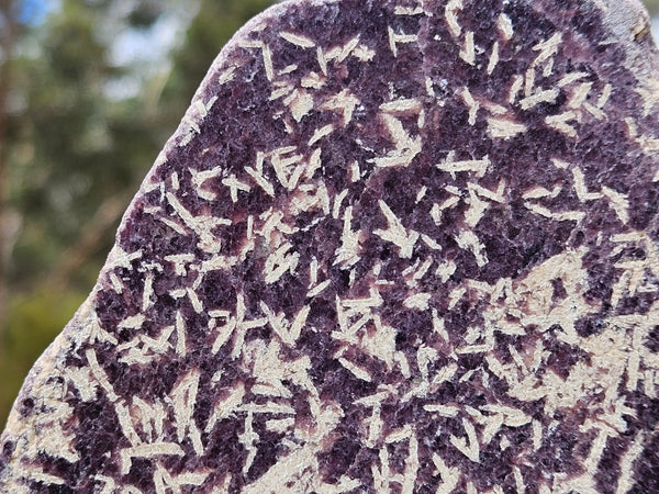 Polished Lepidolite  LEP235