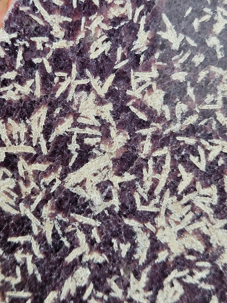 Polished Lepidolite  LEP235