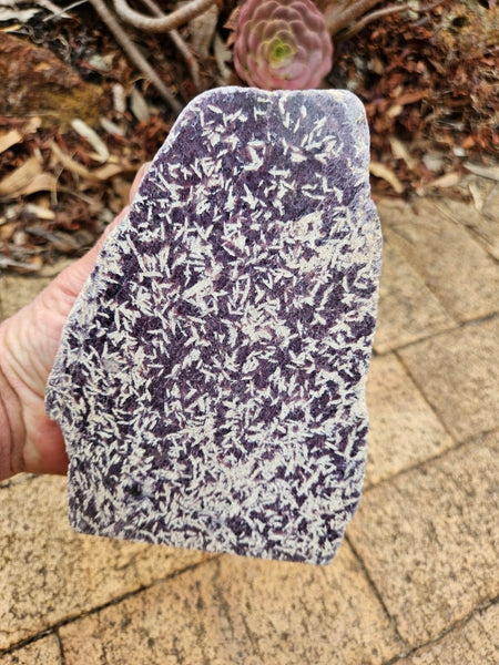 Polished Lepidolite  LEP235