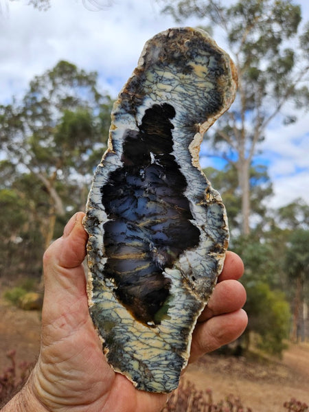 Polished Dendritic Opal slab DO238