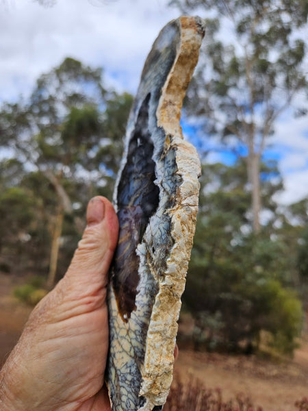 Polished Dendritic Opal slab DO238