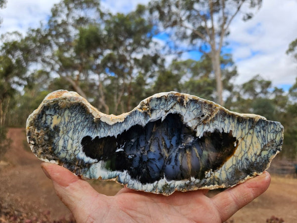 Polished Dendritic Opal slab DO238
