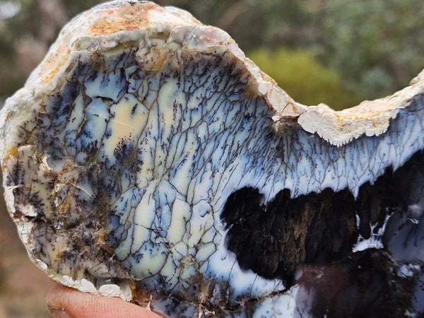 Polished Dendritic Opal slab DO238