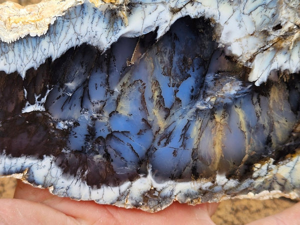 Polished Dendritic Opal slab DO238