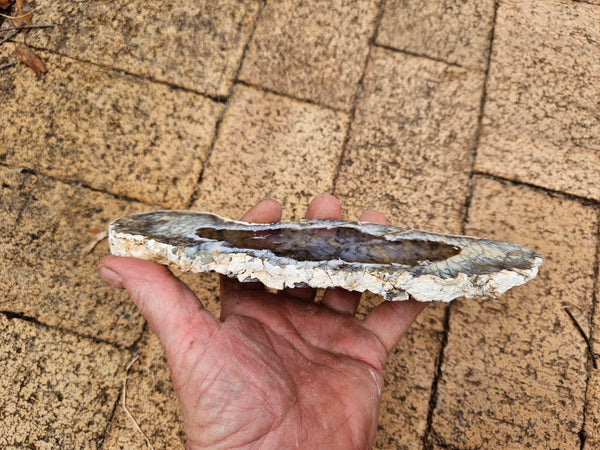 Polished Dendritic Opal slab DO238