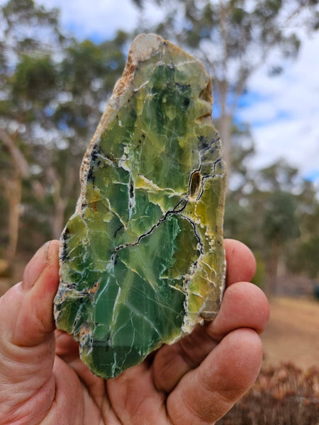 Polished Green Opal slab GRN116