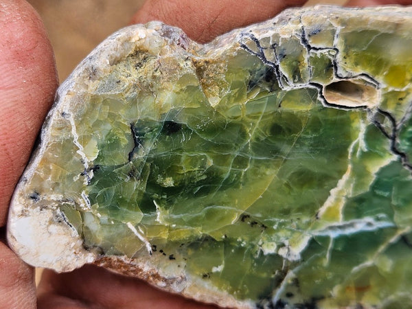 Polished Green Opal slab GRN116