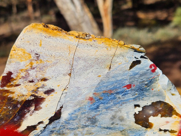 Polished Killaloe Opal rock KO131