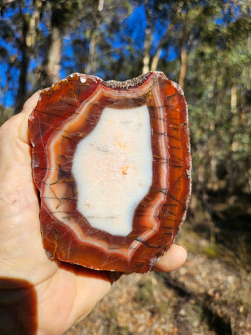 Polished Pilbara Agate PA285