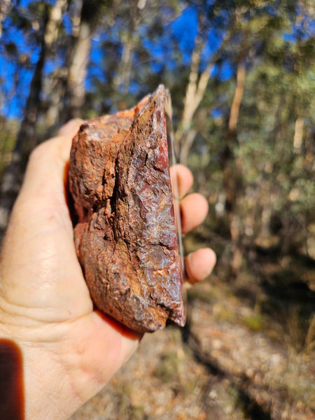 Polished Pilbara Agate PA285