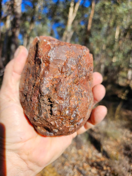 Polished Pilbara Agate PA285