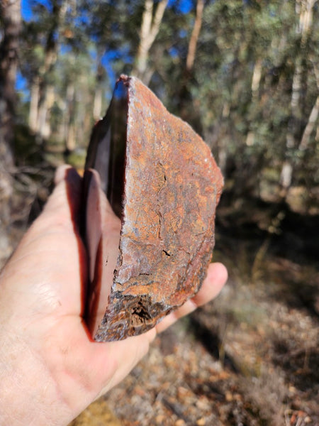 Polished Pilbara Agate PA285