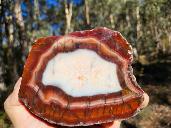 Polished Pilbara Agate PA285