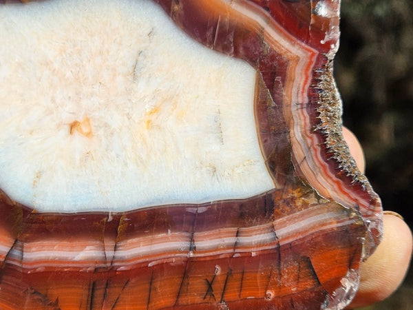 Polished Pilbara Agate PA285