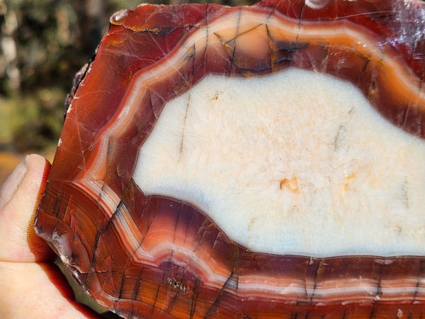 Polished Pilbara Agate PA285