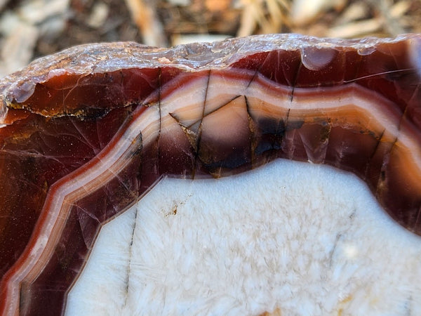 Polished Pilbara Agate PA285