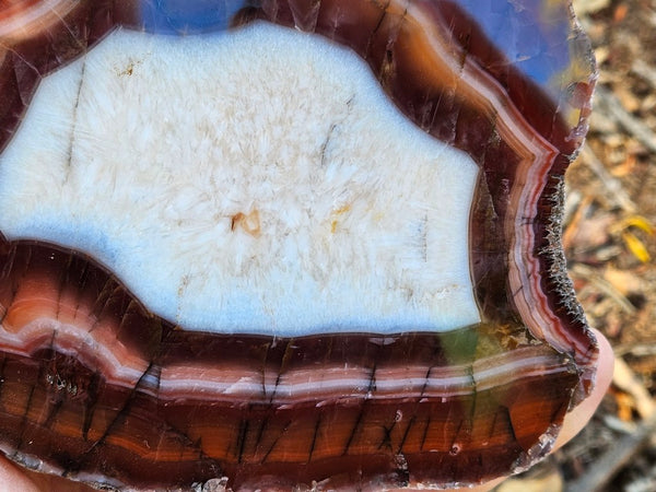 Polished Pilbara Agate PA285