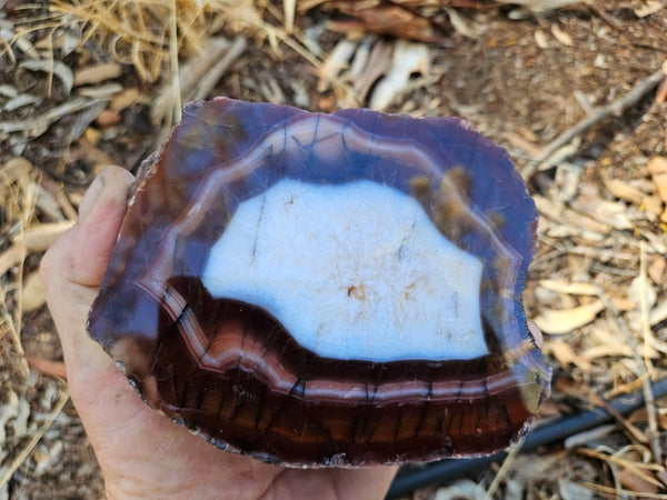 Polished Pilbara Agate PA285