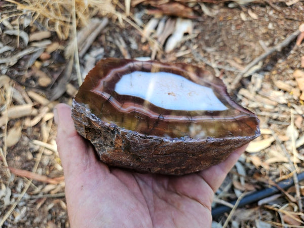Polished Pilbara Agate PA285