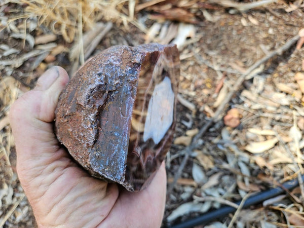 Polished Pilbara Agate PA285