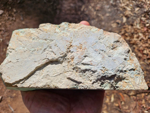 Variscite rough. VR611